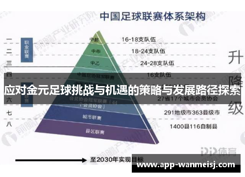 应对金元足球挑战与机遇的策略与发展路径探索