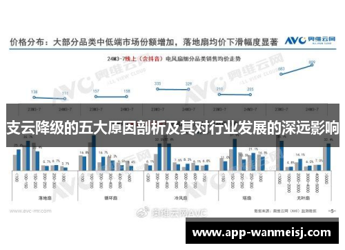 支云降级的五大原因剖析及其对行业发展的深远影响
