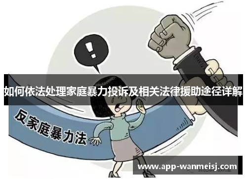 如何依法处理家庭暴力投诉及相关法律援助途径详解