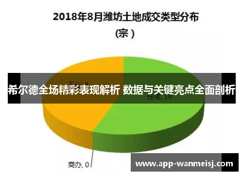 希尔德全场精彩表现解析 数据与关键亮点全面剖析