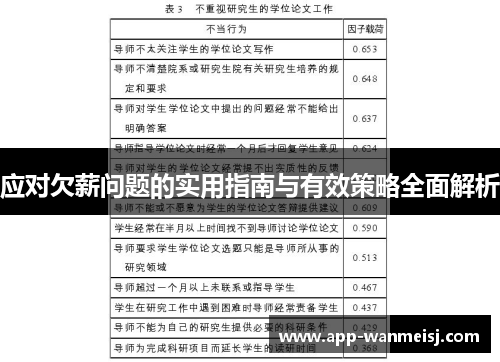 应对欠薪问题的实用指南与有效策略全面解析