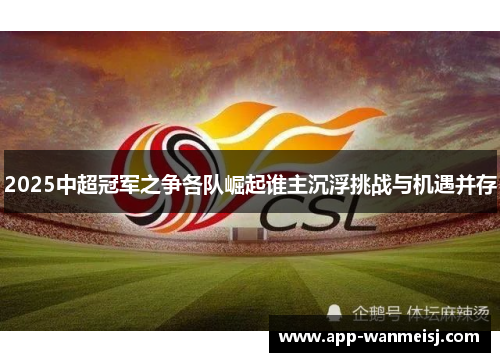 2025中超冠军之争各队崛起谁主沉浮挑战与机遇并存