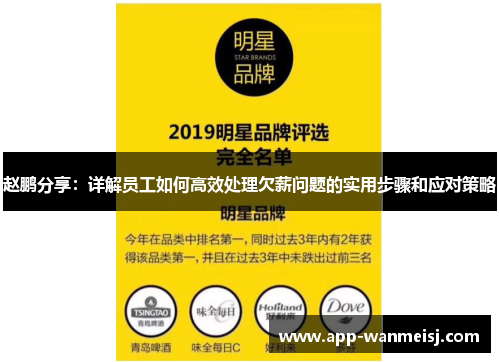 赵鹏分享：详解员工如何高效处理欠薪问题的实用步骤和应对策略