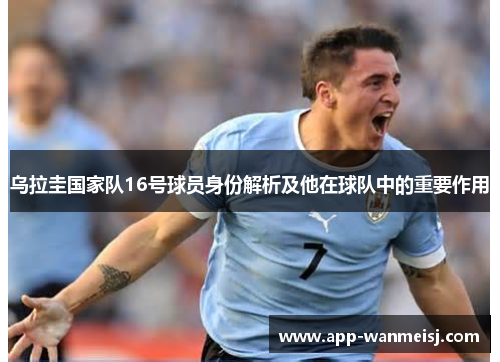 乌拉圭国家队16号球员身份解析及他在球队中的重要作用